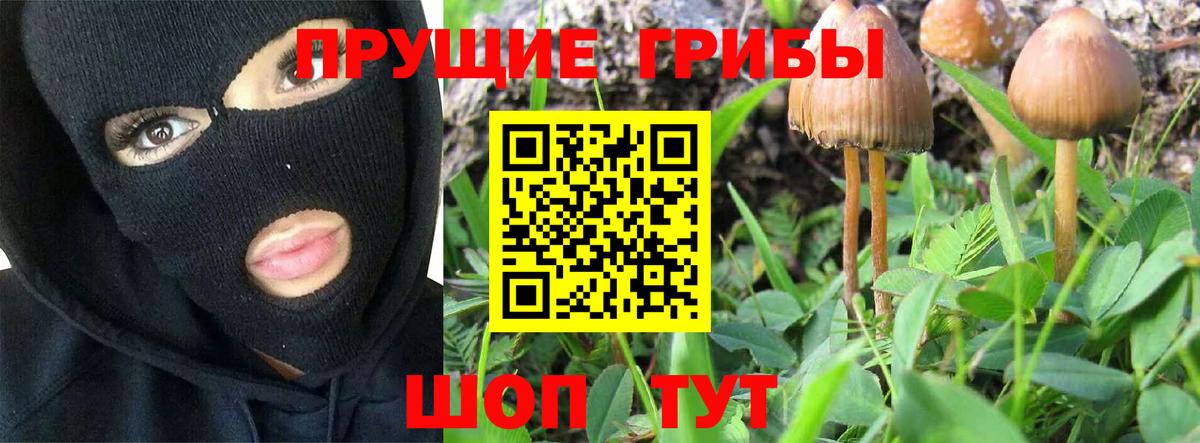 Псилоцибиновые грибы MAGIC MUSHROOMS Бор